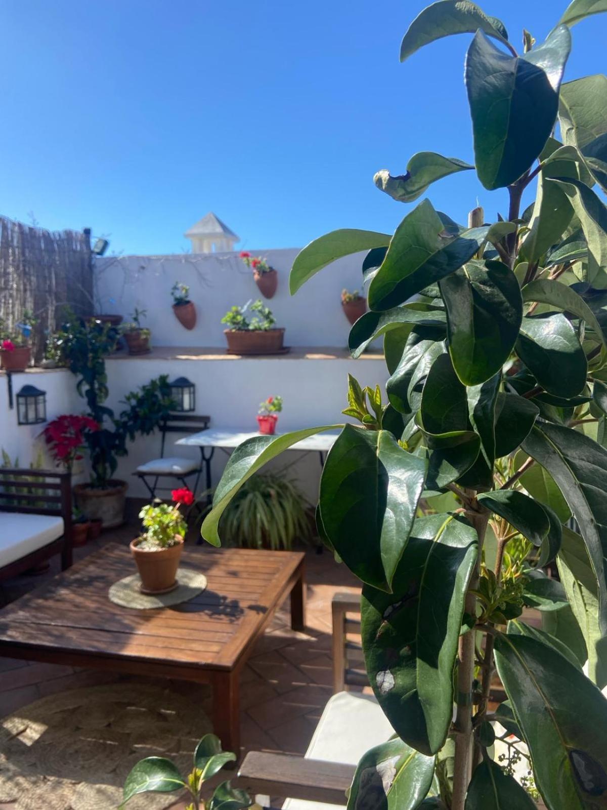 La Gitanilla Alojamiento & Encanto Jerez Jerez de la Frontera Exteriör bild